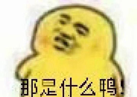 吃瓜的表情包