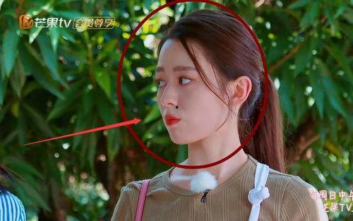 吃瓜网51官网版 赵露思否认整容 总裁夺爱失婚妻,总裁夺爱失婚妻剧情引热议