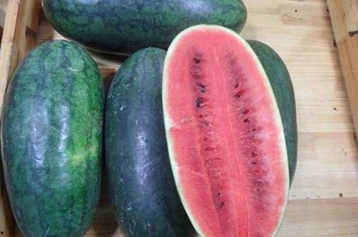 抖音网红黑料 网红热瓜