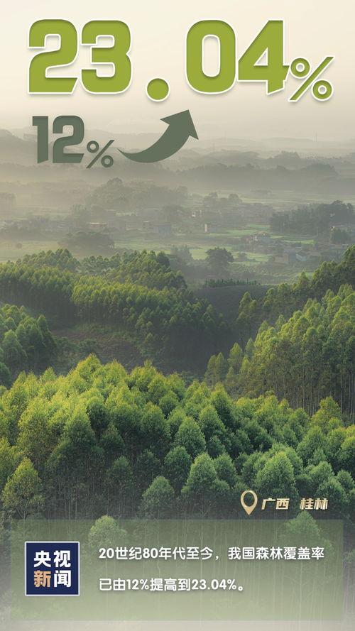 木林森在线观看